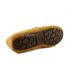 Men's Ascot Chestnut