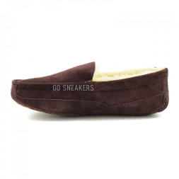 Men's Ascot Chocolate