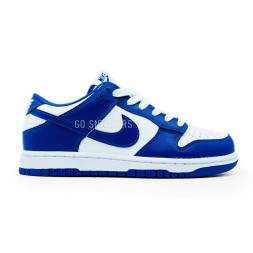 Nike Sb Dunk Low White Navy